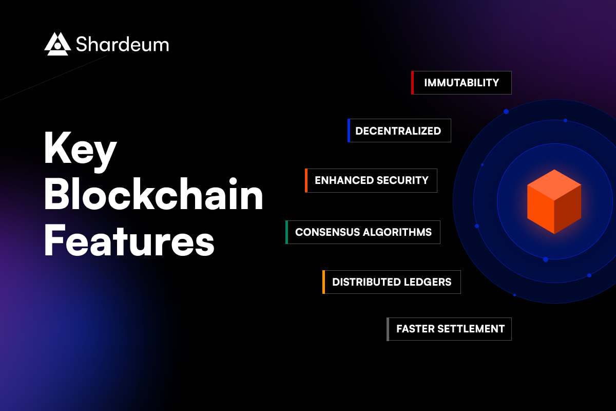 blockchain transparency immutable ledger