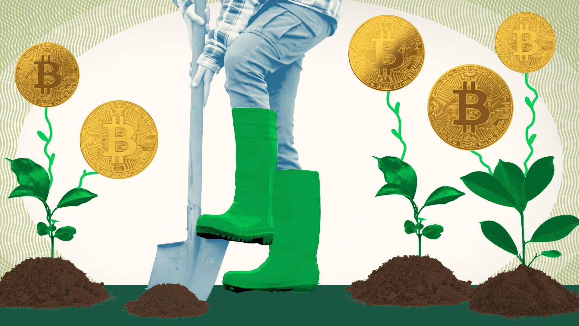 crypto staking yield illustration
